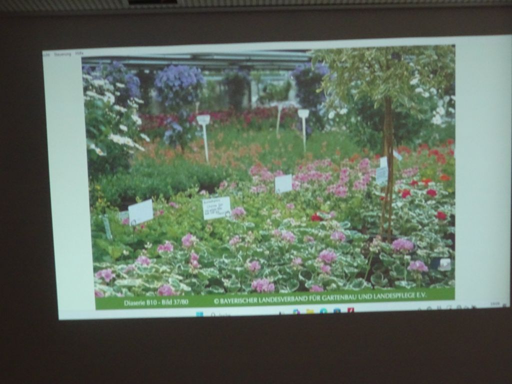 Galeriebilder