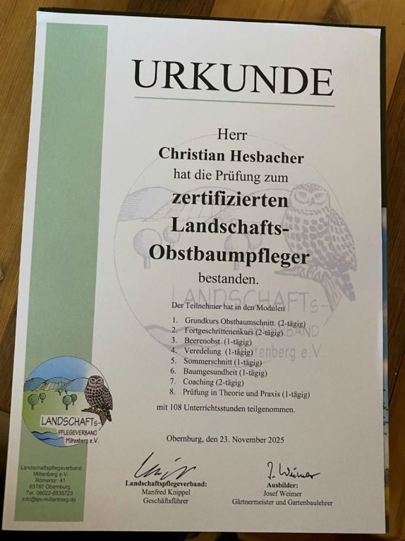 Galeriebilder