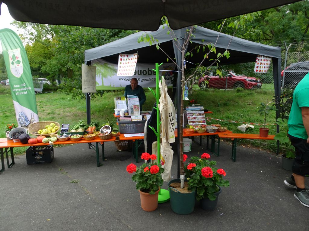 Galeriebilder